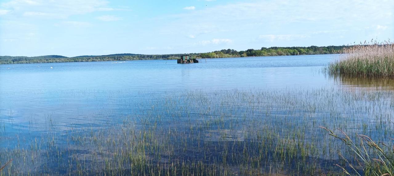Les Terrasses Du Lac Piscine Et Vue Lac A4 Aureilhan  Eksteriør bilde