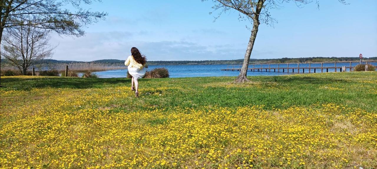 Les Terrasses Du Lac Piscine Et Vue Lac A4 Aureilhan  Eksteriør bilde