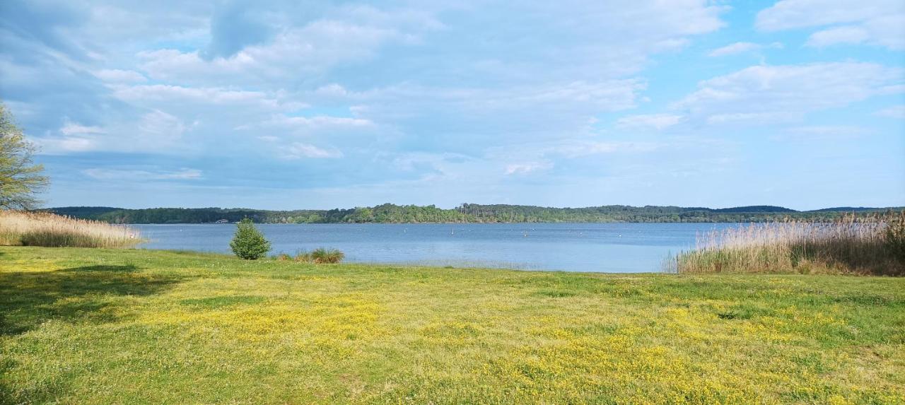 Les Terrasses Du Lac Piscine Et Vue Lac A4 Aureilhan  Eksteriør bilde